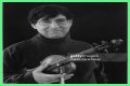 David Shapiro (musician)